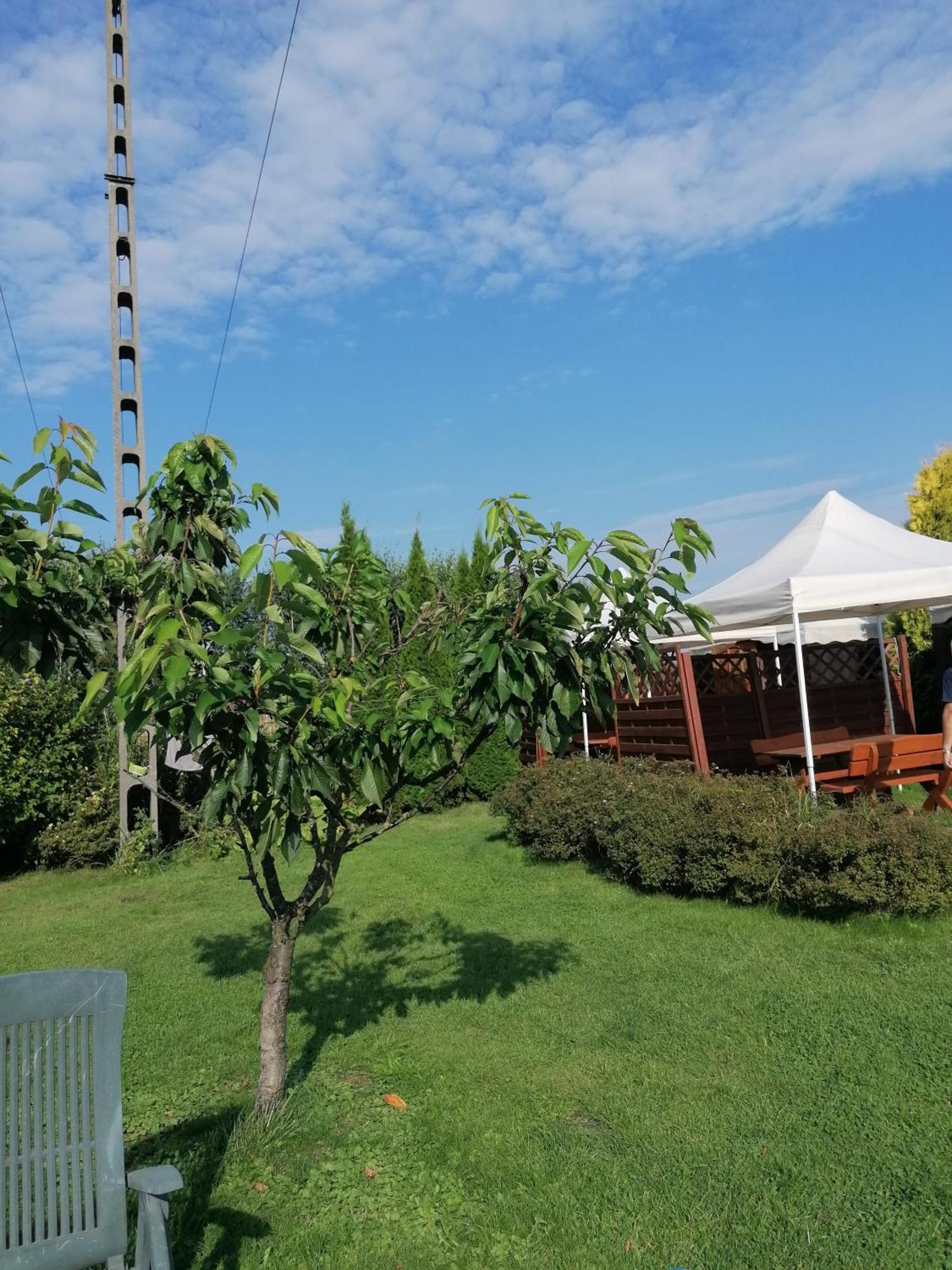 Homestay Dom Kacik